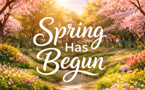Spring Has Begun